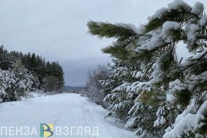 Мороз -30 градусов ожидается 8 января в Пензенской области