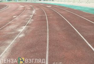 В Пензенской области появились еще четыре мастера спорта