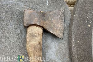 Житель Пензенской области хотел зарубить работника энергоснабжающей организации