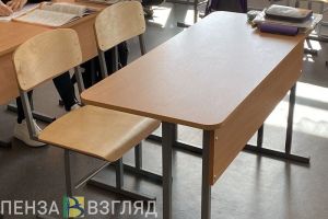 Пензенцы жалуются, что в дни продленных каникул в школах проходят мероприятия