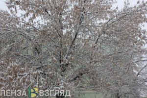 Пожар с тремя погибшими, госпитализация детей из Белгорода, резкий перепад температур – новости Пензы и области за 14 января