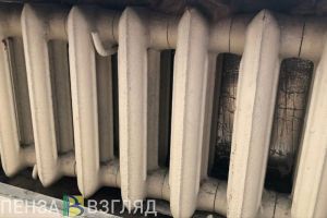 Жители Каменки пожаловались Мизулиной на холод в школе №9