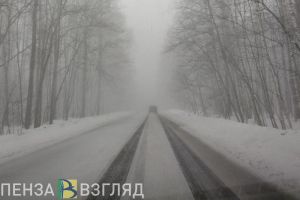 В Пензенской области сбили лося и двух косуль
