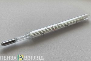 Пензенцев предупредили о росте заболеваемости ОРВИ, гриппом и COVID-19 в феврале