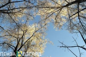 В выходные в Пензенской области ожидается снегопад