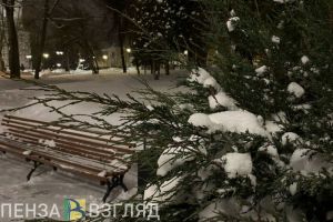 29 января пензенцев ждет пасмурная погода