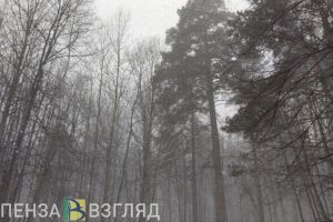 Смерть известной баскетболистки, две пропавшие, предупреждение от МЧС – новости Пензы и области за 28 января