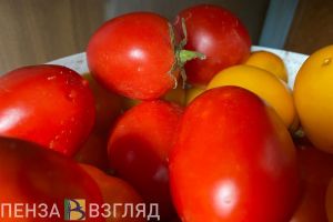 В Пензенской области капуста и помидоры подорожали за год более чем на 70%