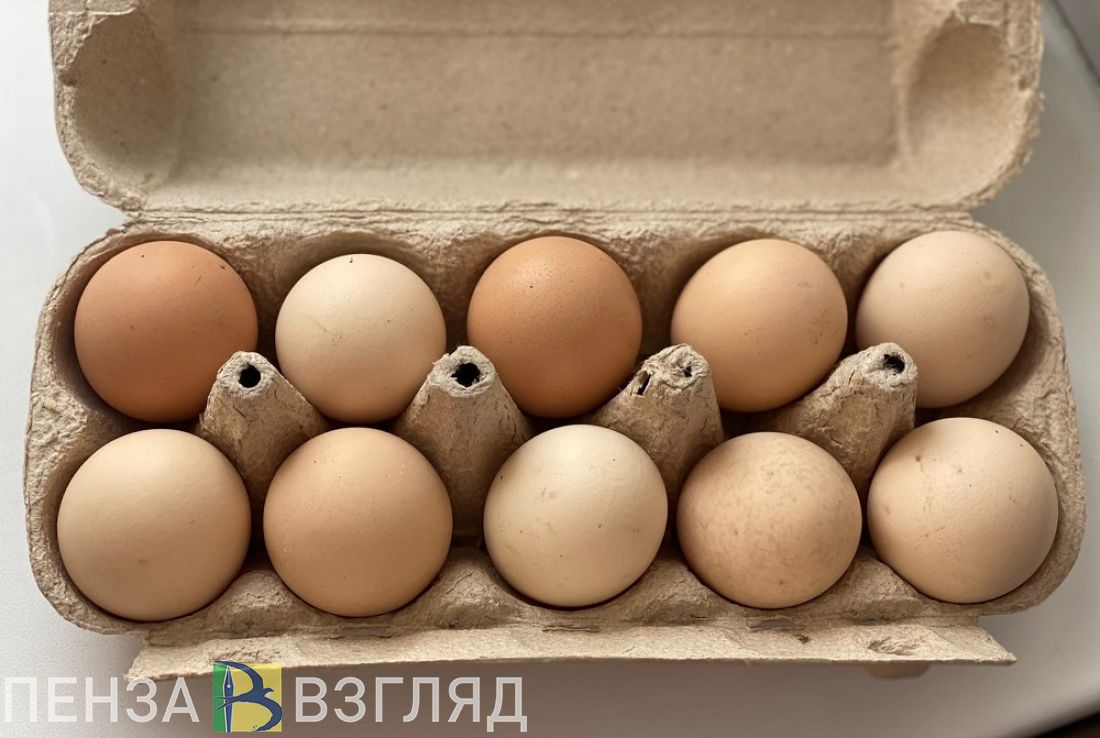 Пензенцы узнали, вернутся ли цены на яйца к прошлогоднему уровню