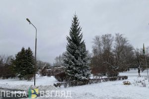 5 февраля в Пензенской области ожидается небольшой снег и сильные порывы ветра