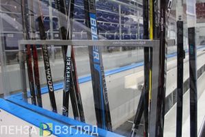 В Пензе 10 февраля состоится День зимних видов спорта