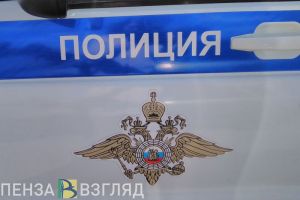 В Кузнецке полиция задержала девушку, которая придумала себе ребенка