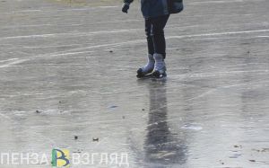 В Пензе более 30 ветеранов боевых действий с семьями провели выходные на катке