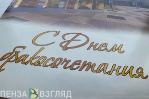 В семейном МФЦ Пензенской области обустроят зал для бракосочетаний