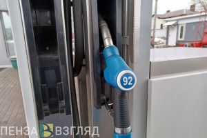 Пензенская область заняла 67 место в России по доступности бензина для населения