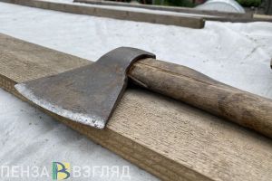 В Нижнеломовском районе незаконно вырубили деревья на 1 млн рублей
