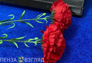 Смерть Едалова, приговор по делу о сидре и уголовные дела о телефонном терроризме: новости Пензы за 1 марта