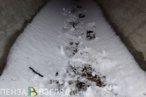 Жителей Пензенской области просят помочь в поиске 39-летнего мужчины