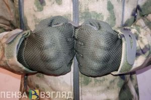 В 2023 году в Пензенской области выявлено 2 преступления по дискредитации армии