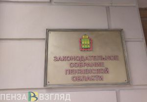 Антон Столяров избран заместителем председателя Заксобрания Пензенской области