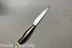 Пьяная жительница Колышлейского района набросилась с ножом на сожителя