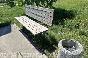 Пензенцы узнали, когда благоустроят территорию у ФОКа «Олимпийский»