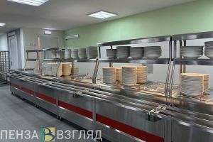 Пензенских студентов колледжей из многодетных семей обеспечат питанием