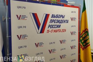 Пензенский избирком напомнил о запрете на агитацию в дни выборов
