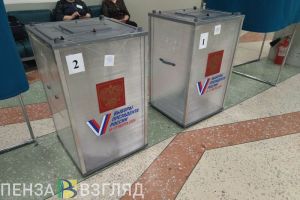 Стали известны предварительные результаты выборов по Кузнецкому району