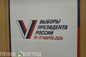 Подведены предварительные итоги голосования в Сердобском и Каменском районах