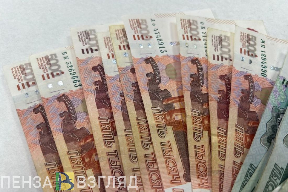 Стало известно, в какой отрасли пензенцы зарабатывали больше всего в 2023 году