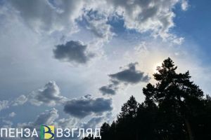 Пензенцы не могут спать из-за «сводящей с ума» рекламы
