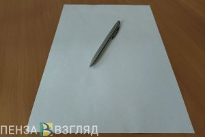 В Пензенской области 11 выпускников решили сдать ЕГЭ досрочно