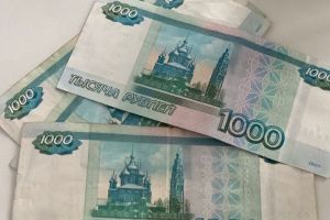 Дачникам рассказали о штрафах до 500 тысяч рублей уже в новом сезоне