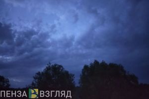Жителей Пензенской области просят помочь в поисках 45-летнего мужчины
