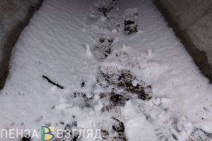 Пензенцев просят оказать содействие в поисках 61-летнего мужчины
