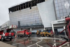 Уроженка Никольска и ее муж смогли выжить во время теракта в Подмосковье