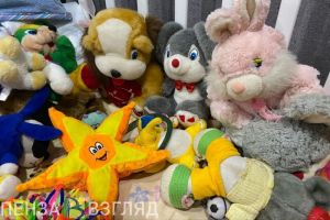 Мошенники просят пензенцев помочь детям из Белгородской области