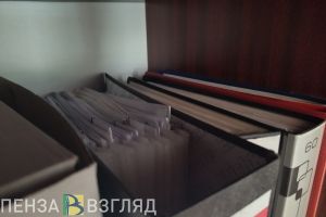 Прокуратура нашла нарушения в декларациях о доходах пензенских сотрудников МЧС