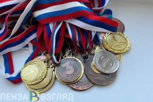 Нижнеломовские самбисты завоевали бронзу на соревнованиях в Тольятти