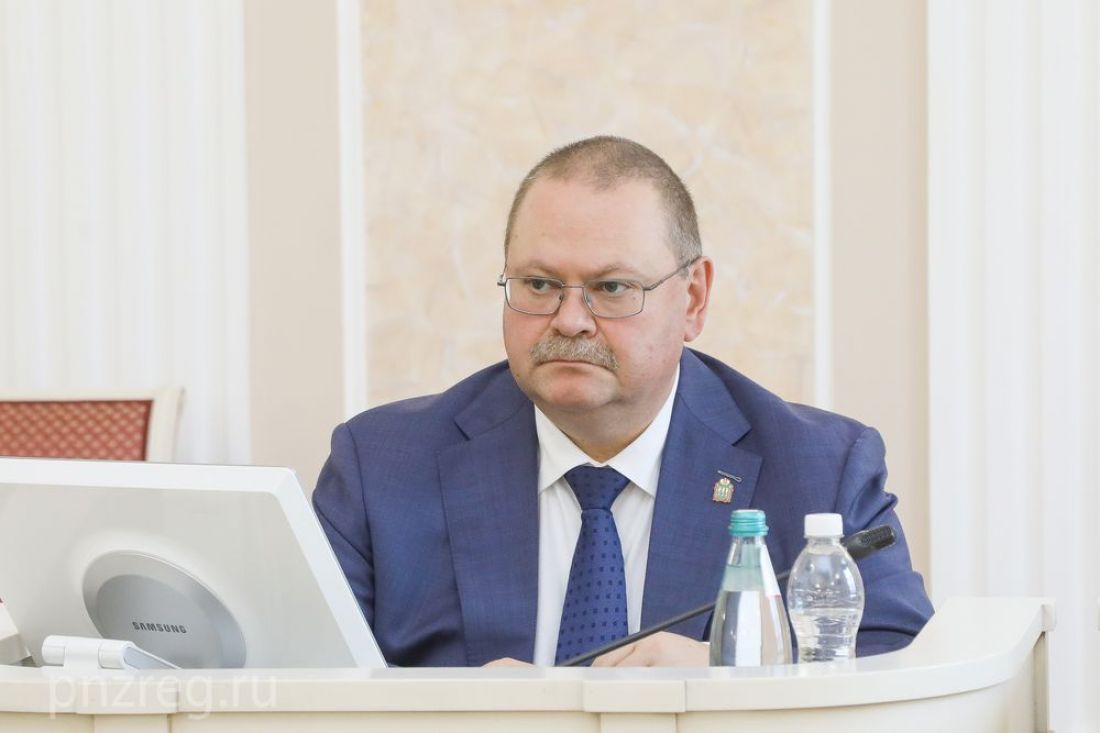 Олег Мельниченко отчитался о работе правительства Пензенской области за 2023 год