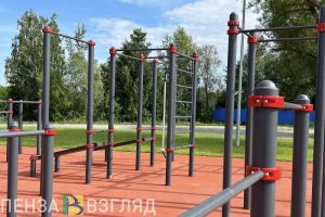 В Малосердобинском районе построят спортплощадку для подготовки к сдаче норм ГТО