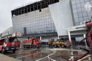 Выросло число погибших при теракте в «Крокусе» детей