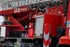 В пензенском МЧС сообщили подробности пожара на Тепличной улице
