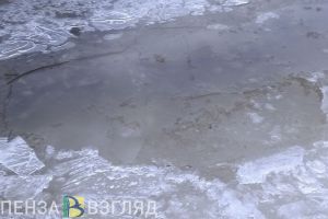 Подтопление домовладений, приговор Симакиной и недомогание школьников: новости Пензы и области за 4 апреля
