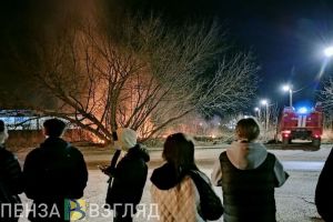 На Тепличной улице в Пензе загорелось поле
