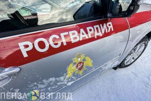 В Пензе росгвардейцы помогли пенсионеру, который забыл дорогу домой
