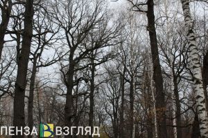 Пензенцев ждет теплая майская погода уже в апреле