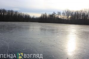 В Заречном спасли провалившуюся под лед собаку