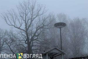 Пензенцам прогнозируют неблагоприятное погодное явление 10 апреля